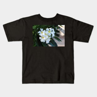 Frangipani or Yellow and White Plumeria flowers, Barbados, WI Kids T-Shirt